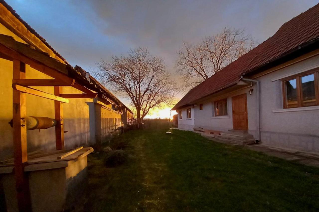 Galeria Turismului Montan Vendégház Cîrţişoara Kültér fotó