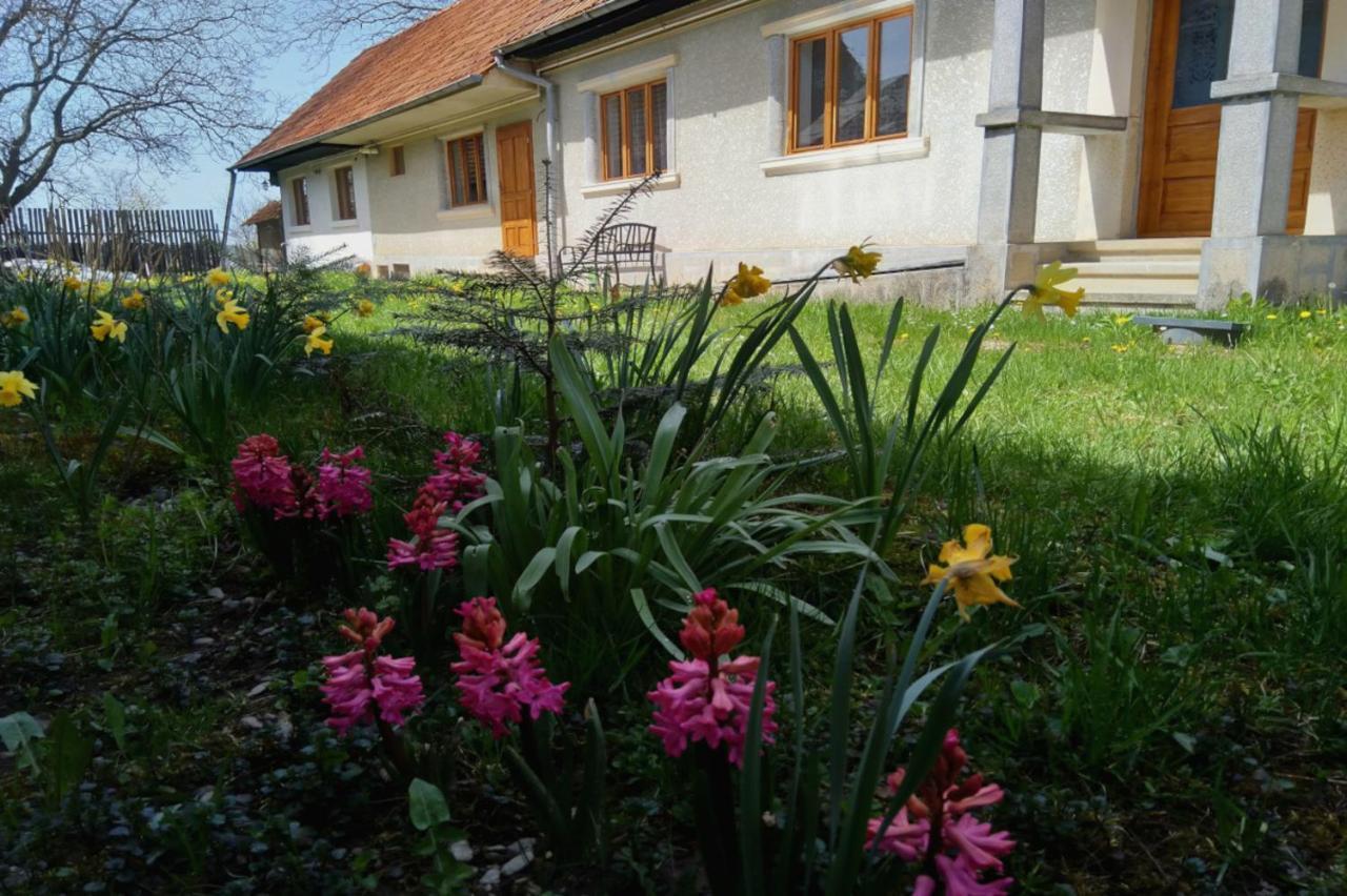Galeria Turismului Montan Vendégház Cîrţişoara Kültér fotó
