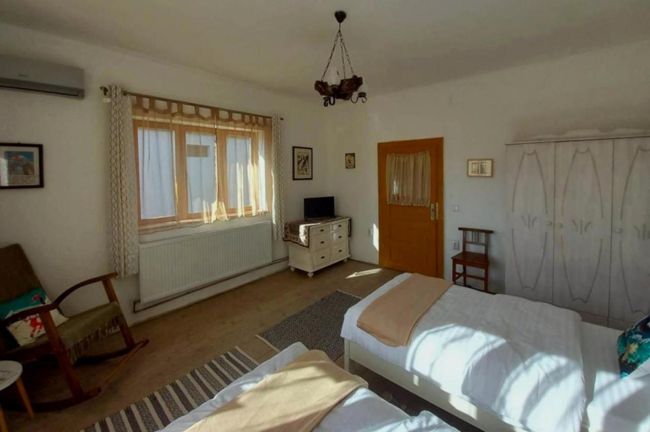 Galeria Turismului Montan Vendégház Cîrţişoara Kültér fotó